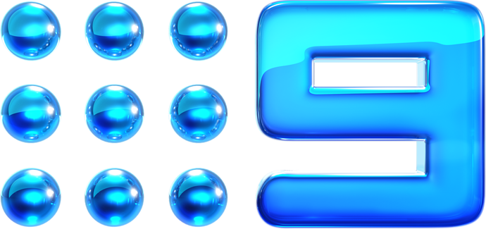 Nine2012_Glossed_Logo