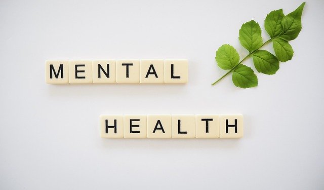 business owner mental health